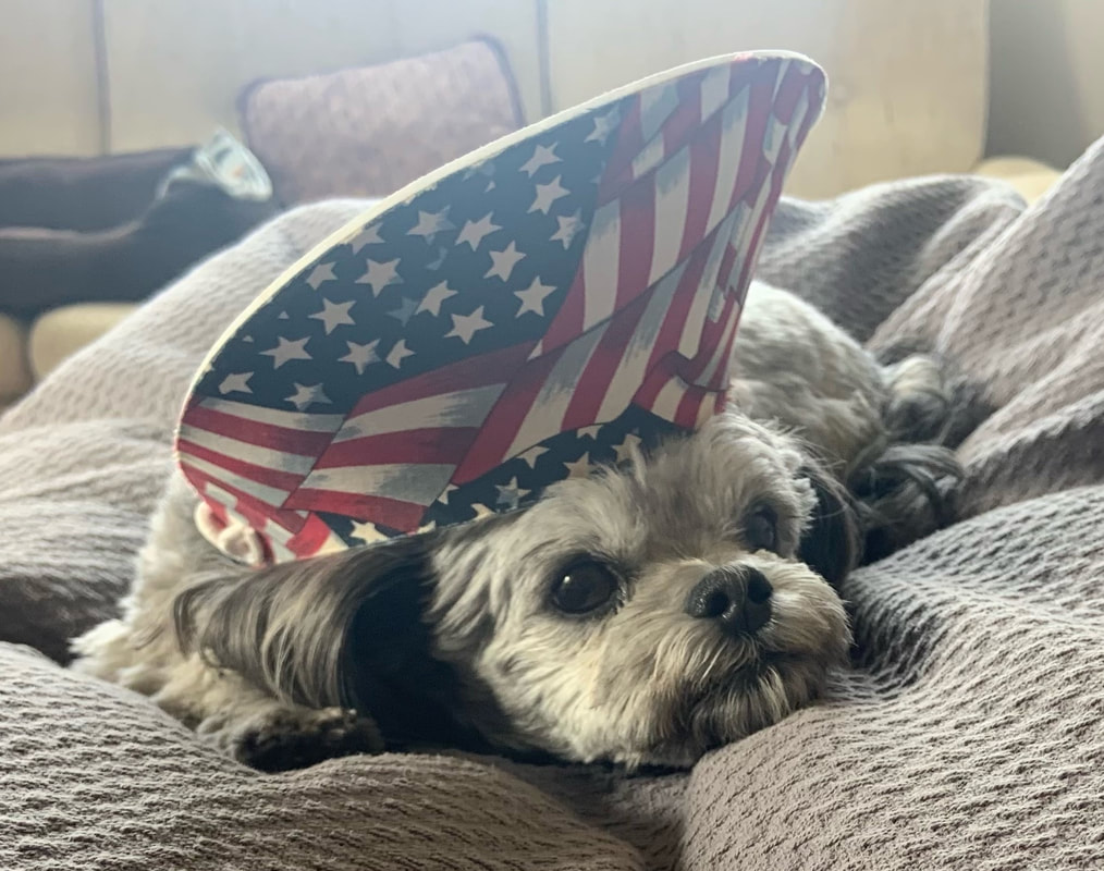 Beau passed August 2025