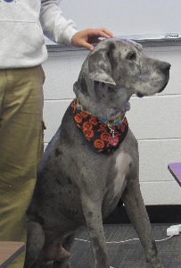 Diesel at the High School
