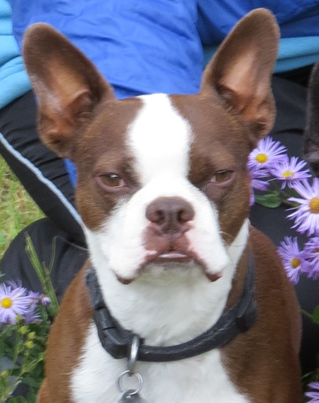 Gus passed June 2025