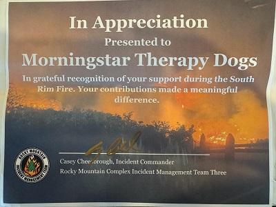 In Appreciation Certificate from Incident Command