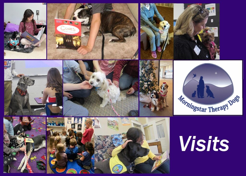 Images of Morningstar Therapy Dogs