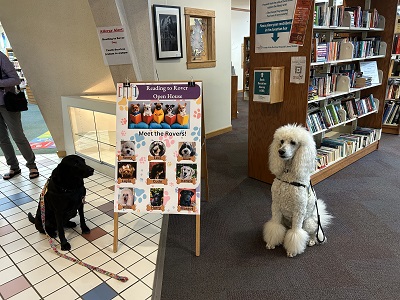 Mornngstar Therapy Dog teams visit the Montrose Public Library.