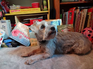 Reading To Rover at the Montrose Public Library