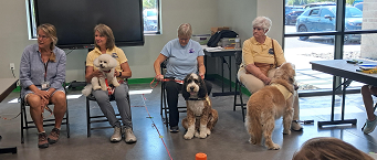MTD Dog Team