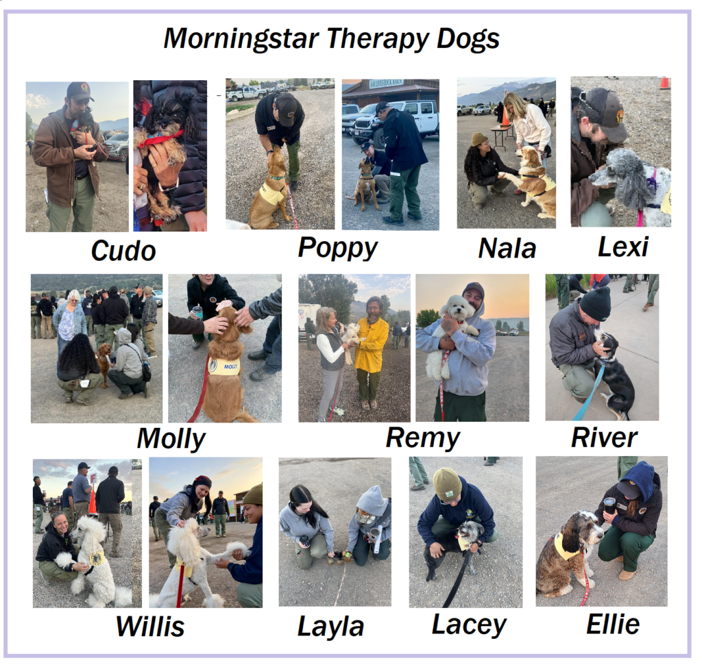 MTD Dogs with Firefighters