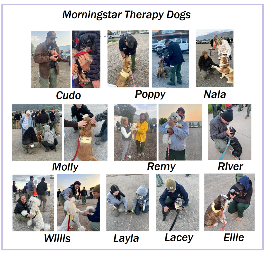 Morningstar Therapy Dogs