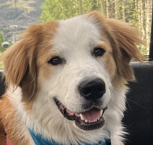 Nala Mawhorter
